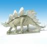 Young Stegosaurus