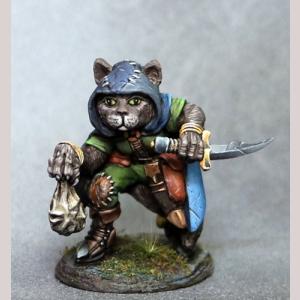 Asha - Cat Rogue