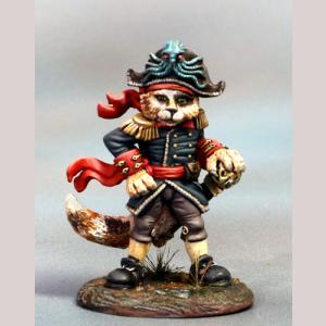 Calico Pirate Cat