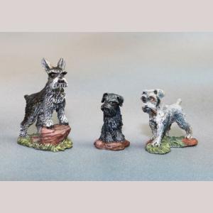 Miniature Schnauzer Dogs x 3