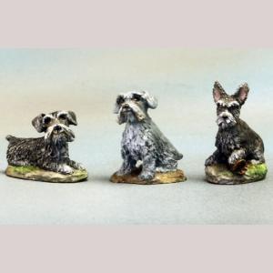 Miniature Schnauzers #2 – 3 Pack