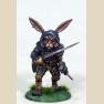 Rabbit Dual Wield Rogue