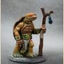 Tortoise Druid with Staff