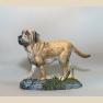 Mastiff Dog