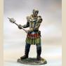 Half Giant Warrior